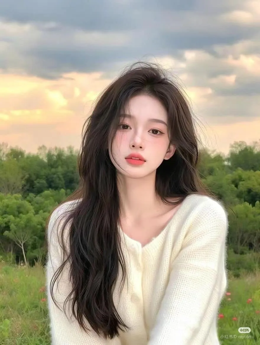 Hoa Sơn Trà